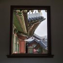 [창덕궁 빛·바람 들이기 후기]창덕궁 홍매화 벚꽃 봄꽃 구경 서울 궁궐 관람, 창덕궁 입장료 운영시간