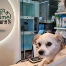 청라종합동물병원 이미지