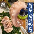 목포낙지마을 | [종로맛집/동묘맛집/창신동] 제철 음식 쭈꾸미 샤브샤브 찐 맛집 추천 &#34;목포낙지마을&#34; 내돈내산 솔직후기