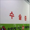 전주동물병원 이미지