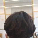 제니헤어하우트