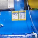 가락시장역 2번출구 | 가락시장 킹크랩 내돈내산 상세솔직후기 시세 식당 대게