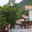 금산 자연 오토캠핑장 이미지