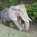 너른마당 이미지