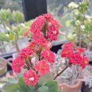 옥계남로5길-1 이미지