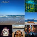 백야전자 | 뮤지엄/사근진 해변/해중 전망대/뷰 좋은 신상 카페 백야/경포 해변/하이오션 경포 호텔 재방문 후기