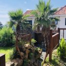 하논의 아침 이미지