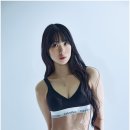 바디팰리스짐 이미지