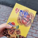 해피송콘텐츠