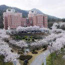 동신대학교 이미지