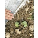 산수로L | 스틸엣지 - 그린서버엣지, 코르텐엣지, 포스맥엣지, 자갈엣지