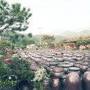 성빈농장 이미지