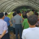 명창농장 이미지