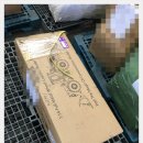 로더비