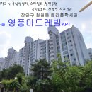 비단마을 Daum카페
