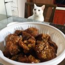 [부천맛집] 베르네 닭강정 - 약간매운맛 택배 후기