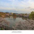 창녕 영산 만년교 이미지