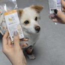 명품견 | 건강한 강아지 간식 왈랄라 오리지널 강아지 비건 쿠키