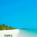 기쁨농장 이미지