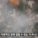 미역국 끓이다가 생일상이 제삿상으로 이미지