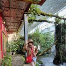 호계2동-2 이미지