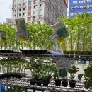 흥농농장 이미지