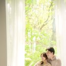 베이비파스텔 - 2455 | 베이비파스텔