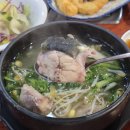 엑스포아구 이미지