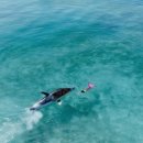 (주)월드여행사 이미지