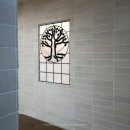 신사귀족약국 이미지