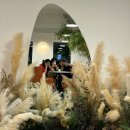 곤지암역 | 경기광주】 경기 광주 곤지암역 신상 카페 &#39;카페 화당...방문 후기(화담숲 근처, 곤지암리조트 인근...