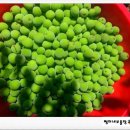 쩡이네보물창고 이미지