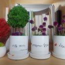 저스트프렌즈 작은도서관 이미지