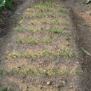 승표네농장 이미지