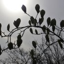 우장산동 이미지