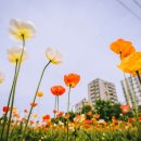 오산천 산책로 이미지