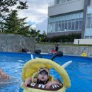 델피노 I 이미지