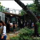 참숯닭갈비 이미지