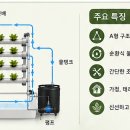 하이드로포닉