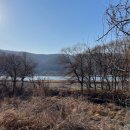 리프패럿앵무새체험관카페 - 광산구 임방울대로 507 | 리프패럿앵무새체험관카페