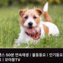 모