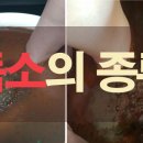 대운바이오