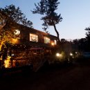 노노레타 이미지