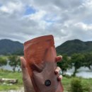 우리한약국 | [세종 | 사랑채한약국] 다이어트한약 내돈내산 복용 후기 (2단계 | 4-16일차)