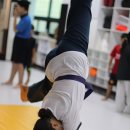 경희대 KTIGERS 태권도 이미지