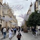 메트로폴관광호텔 | 신혼여행 1일차] 세비야 대성당, 메트로폴 파라솔, 타파스 맛집 '에슬라바' 솔직 후기 + 찐맛집 추천