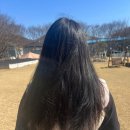더마힐 노워시트리트먼트 딥씨워터 씻어내지 않는 트리트먼트