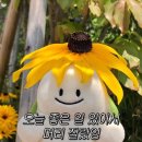 교동미용실 이미지