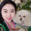빌라베르데