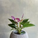 회원동149 이미지